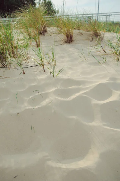 Sand Dunes on sunny day — Stock Photo, Image