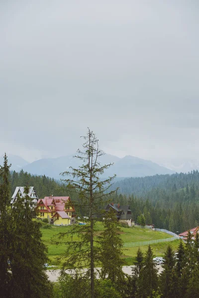 Mounatin hafif sis ile güzel manzara — Stok fotoğraf