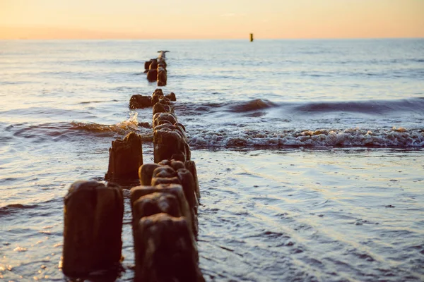 Rompeolas en el mar Báltico sobre el atardecer — Foto de Stock