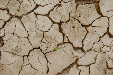 Kırık zemin, kuru arazi.