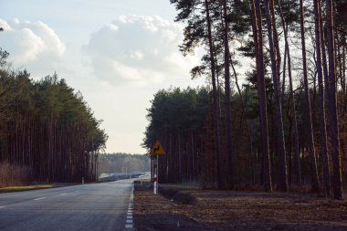 Asfalt yol Üstten Görünüm