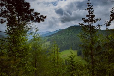 dağ kurtarma helikopteri