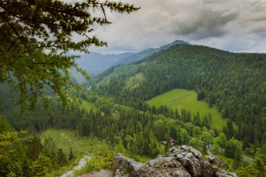 Yazın dağ manzarası