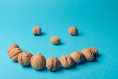 Ceviz, ceviz yakın çekim, mavi zemin üzerine ceviz,