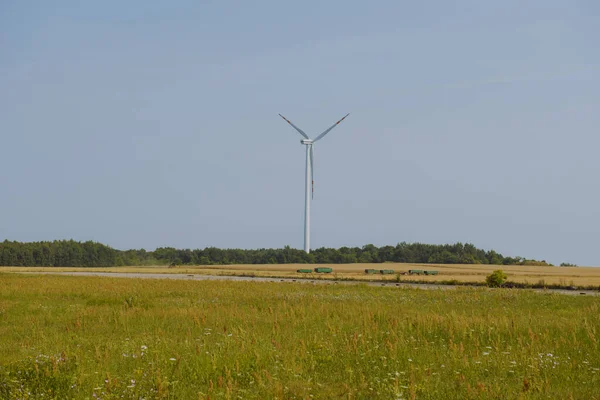 Windturbine на сонячний день — стокове фото