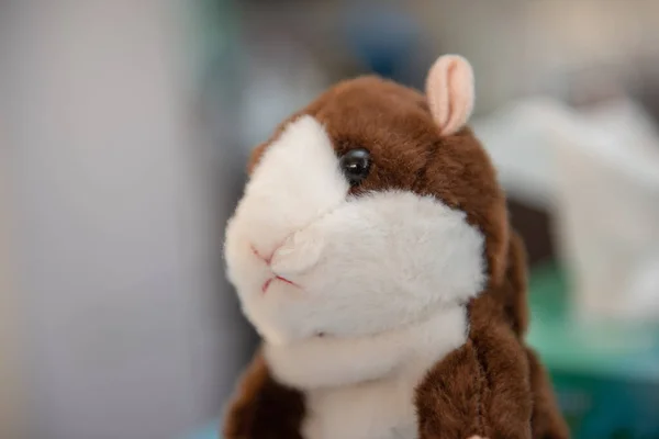 Hamsterkuscheltier auf weißem Hintergrund. — Stockfoto