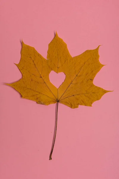 Hintergrundgruppe Herbst orange, grüne, gelbe und braune Blätter. mit der in der Mitte ausgeschnittenen Herzform auf rosa Hintergrund. Studioaufnahmen. Blick von oben. Horizontale Ausrichtung. Kopierraum — Stockfoto