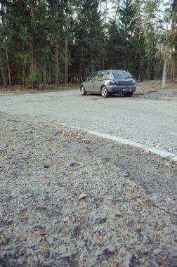 Ormanın yanındaki park edilmiş araba