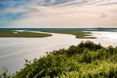 Polonya 'da berrak gölü olan Idyllic yaz manzarası