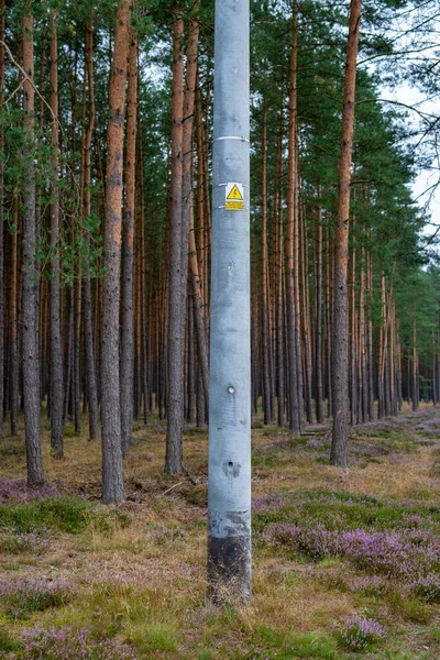 Poteau électrique haute tension dans la forêt — Photo