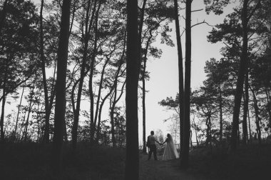 Gelin ve damat doğadaki bir fotoğraf çekiminde. Baltık Sahili