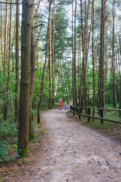 Baharda yeşil ormandaki yol. Ormanda yürüyen bulanık insanlar. — Stok fotoğraf
