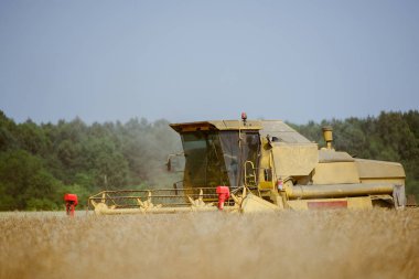 Tecavüz alan hasat birleştirmek