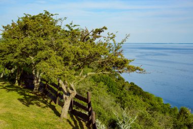 Polonya'daki Ulusal Wolinski Parkı'ndaki uçurum hattı. Arka planda çayırdaki ağaçlar. Ahşap çit. Güneş ışığı