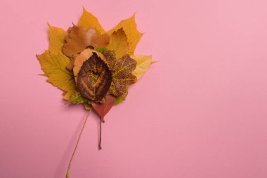 Arka plan grubu, sonbahar turuncusu, yeşil, sarı ve kahverengi yapraklar. Pembe arka planda kalp şekli ortadan kesilmiş. Stüdyo çekimi. Yukarıdan bak. Yatay oryantasyon. Boşluğu kopyala