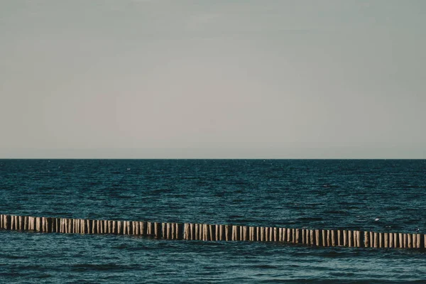 Tramonto sul Mar Baltico con gabbiani. Ora legale. Ora d'oro — Foto Stock