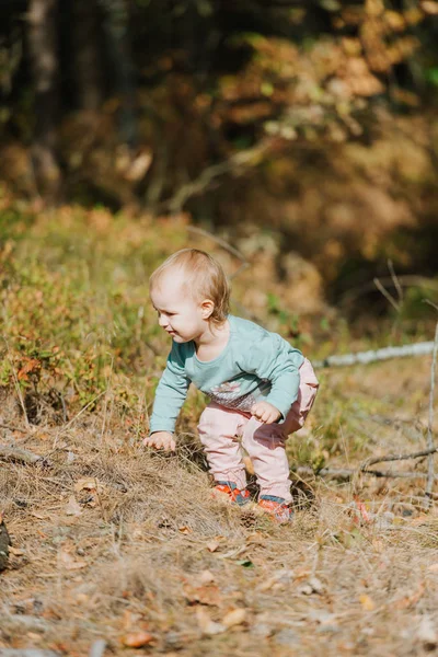 Adorable chica divirtiéndose en hermoso día de otoño — Foto de Stock