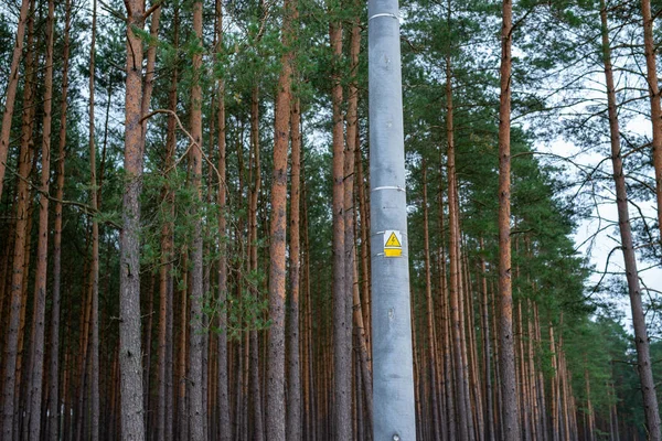 Poteau électrique haute tension dans la forêt — Photo