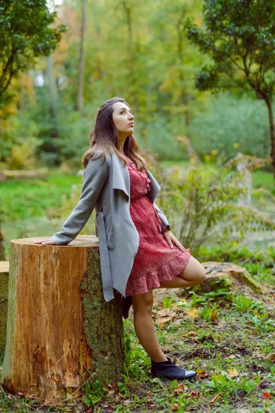 Mujer de pie junto a un árbol en el parque en otoño dorado —  Fotos de Stock