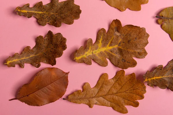 Hintergrundgruppe Herbst orange, grüne, gelbe und braune Blätter. mit der in der Mitte ausgeschnittenen Herzform auf rosa Hintergrund. Studioaufnahmen. Blick von oben. Horizontale Ausrichtung. Kopierraum — Stockfoto