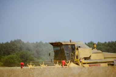 Tecavüz alan hasat birleştirmek