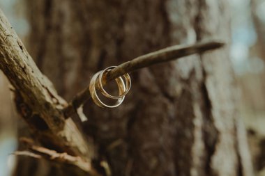 Güzel iki altın alyans. En kaliteli malzemeden yapılmış..