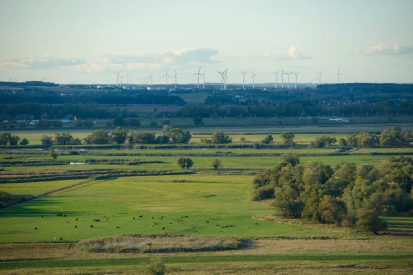 Colinas verdes bajo un cielo azul con nubes en el Valle del Amor, Polonia . — Foto de Stock