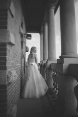 Gelin ve damat doğadaki bir fotoğraf çekiminde.