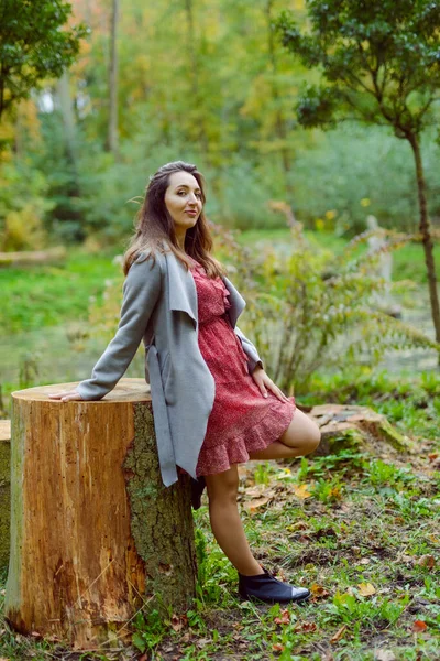 Mujer de pie junto a un árbol en el parque en otoño dorado —  Fotos de Stock