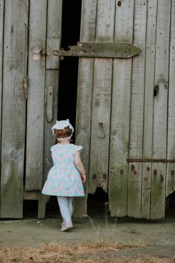 Curiuos çocuk çiftçi kırsal çiftlik tarım yaşam tarzı rustik kümes hayvanları evde kedi ile ahırda oynuyor