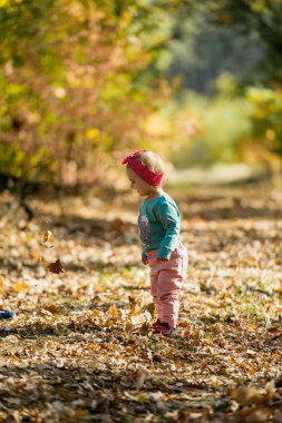 Sevimli kız güzel bir sonbahar gününde eğleniyor. otantik chil
