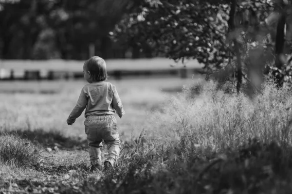 Adorable chica divirtiéndose en hermoso día de otoño. imagen auténtica infancia. —  Fotos de Stock