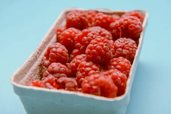 Box of raspberries — Stock Photo, Image