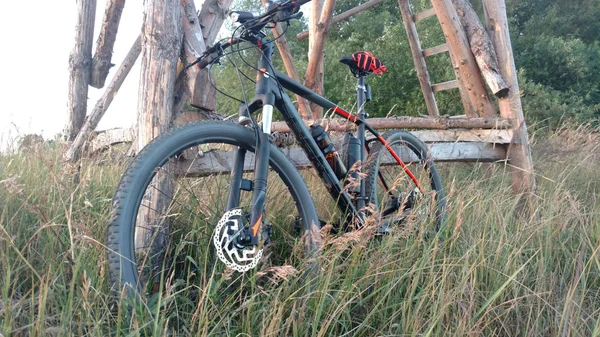 Bicicleta de montanha estacionada ao lado do tronco na floresta . — Fotografia de Stock