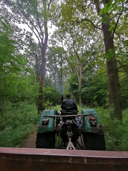 Gamle man kör en grön skadad traktor med släpvagn genom skogen. — Stockfoto