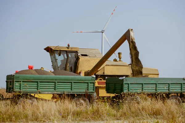 Combine harvesting the rape field — Stock Photo, Image