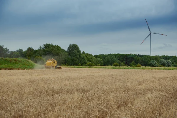Combiner Récolte Blé Est Heure Grand Jour Agriculture Arrière Plan — Photo