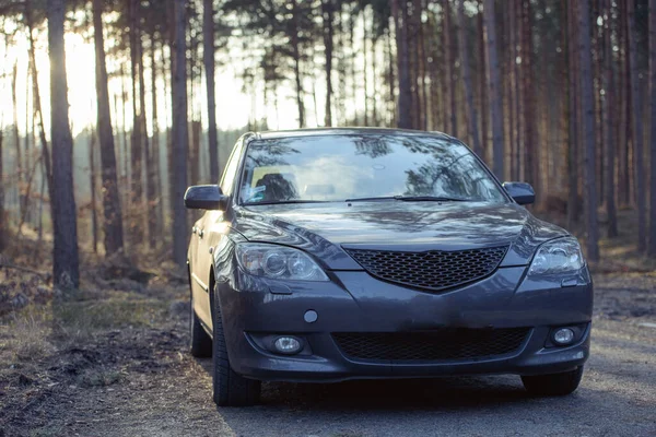 Coche Hatchback Gris Estacionado Junto Bosque — Foto de Stock