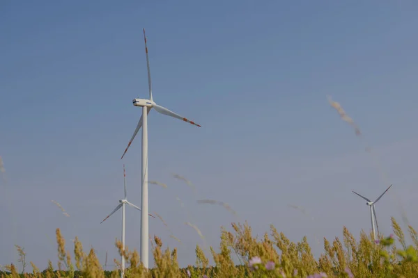 Wind Trubine Sunny Day Blue Sky — Stock Photo, Image