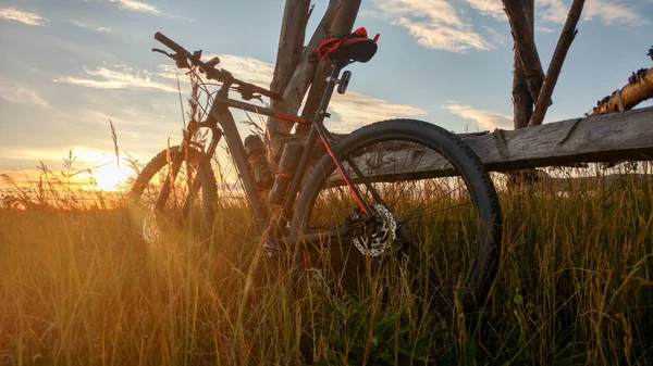 Даунхілл Гірський Велосипед Чоловік Їде Велосипеді — стокове фото