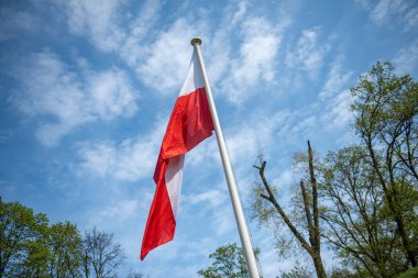 Polonya 'nın Swinoujscie kentindeki tarihi deniz fenerinde asılı duran Polonya bayrağı, 1828 yılında inşa edilmiş ve yüksekliği 65 metredir. 19. yüzyıl. Dünyanın en uzun deniz feneri.