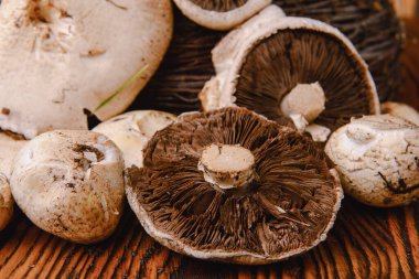 Bileşimi zeytinyağı, mantar, ahşap arka planda sarımsak. sağlıklı yiyecekler