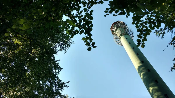 森の中の高い時計塔 — ストック写真