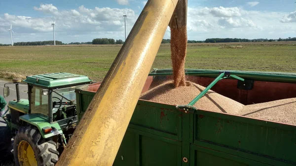 Mähdrescher Einsatz Auf Einem Weizenfeld Beim Entladen Von Getreide — Stockfoto