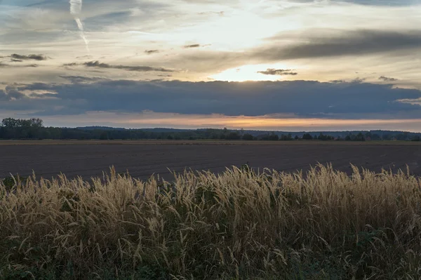 Pôr do sol sobre campos e florestas — Fotografia de Stock