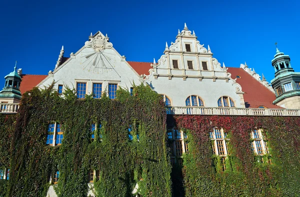 Kletterer und Sonnenuhr an den Wänden von Universitätsgebäuden — Stockfoto