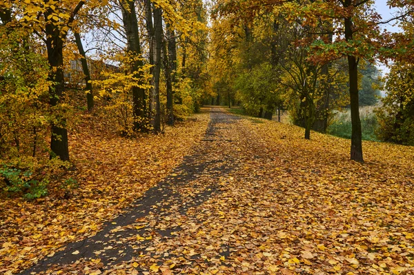 Falling leaves and alley in autumn park — Stock Photo, Image
