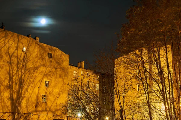 Radhus, träd och månen på natten — Stockfoto