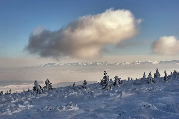 View of the Tatra  mountains in winter — Stock Photo, Image