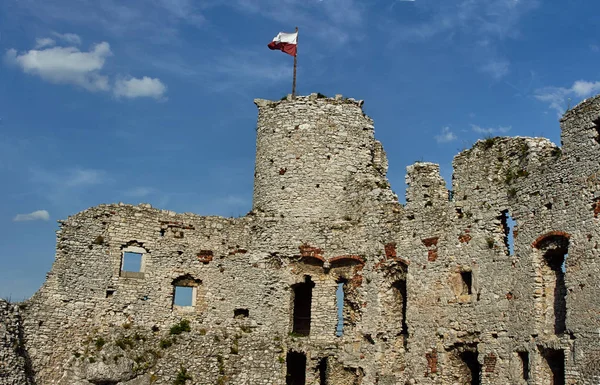 Ruiny średniowiecznego zamku z wieżą — Zdjęcie stockowe